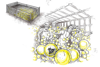 Drawn scene showing a large cage filled with numerous round balls. The cage is closed at the top with a transparent cover.